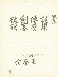 杖剑传说晨星应该怎么用