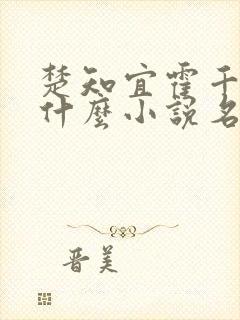 楚知宜霍千绝是什么小说名字