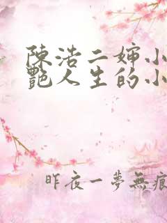 陈浩二婶小莹猎艳人生的小说