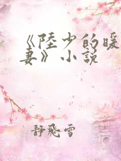 《陆少的暖婚新妻》小说