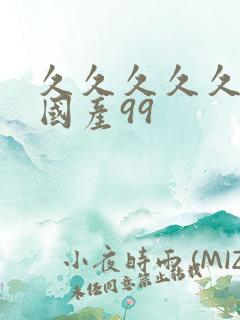 久久久久久精品国产99