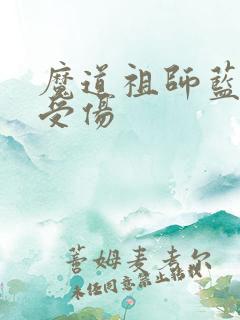 魔道祖师蓝忘机受伤