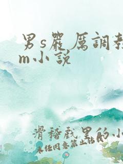 男s严厉调教女m小说