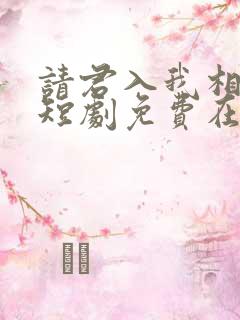 请君入我相思局短剧免费在线观看