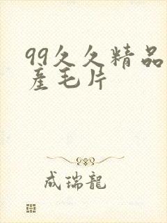 99久久精品国产毛片