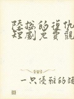 陆总的复仇前妻短剧免费观看