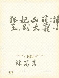 狐妃凶萌:摄政王,别太宠小说