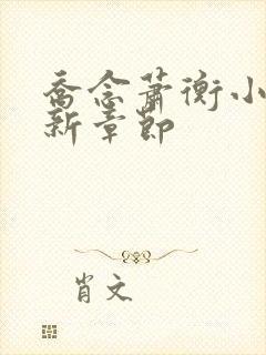 乔念萧衡小说最新章节