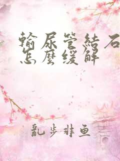 输尿管结石呕吐怎么缓解