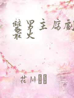 双男主腐剧哪部最火