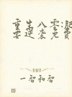 重生八零:肥女要逆袭免费阅读全