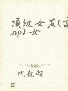 顶级女友(高h,np) 女