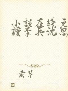 小说在线免费阅读李兵沈思