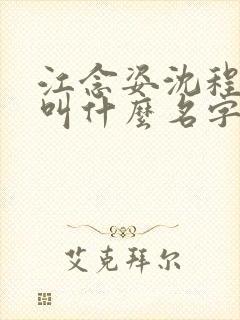 江念姿沈程小说叫什么名字