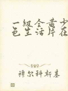 一级全黄少妇性色生活片在哪里看