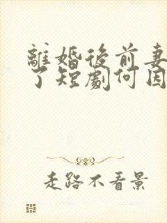 离婚后前妻后悔了短剧何因九