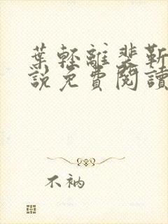 叶轻离裴靳墨小说免费阅读无弹窗