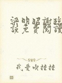 梁明昭谢临风小说免费阅读