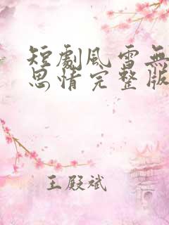 短剧风雪无尽相思情完整版免费观看