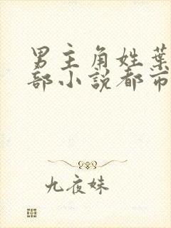 男主角姓叶的全部小说都市