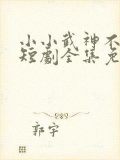 小小武神不好惹短剧全集免费