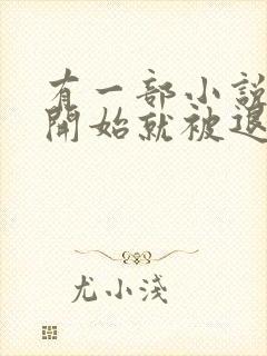 有一部小说主角开始就被退婚