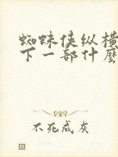 蜘蛛侠纵横宇宙下一部什么时候上映