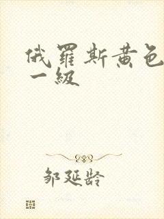 俄罗斯黄色录像一级