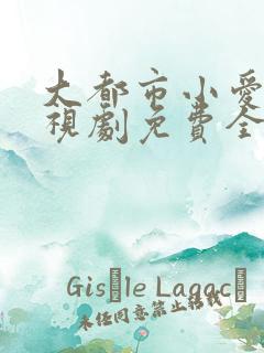 大都市小爱情电视剧免费全集