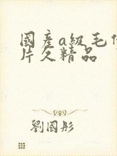 国产a级毛伊人片久精品