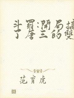 斗罗:开局搞没了唐三的双生武魂小说