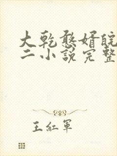 大乾憨婿皖南牛二小说完整版