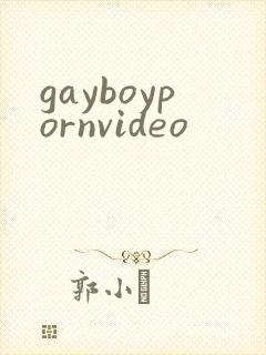 gayboypornvideo