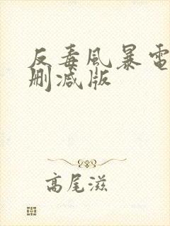 反毒风暴电影未删减版