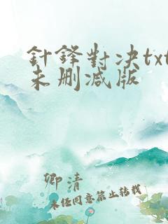 针锋对决txt未删减版