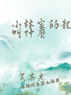 小林家的龙女仆叫什么