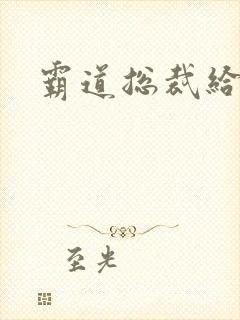 霸道总裁给点爱