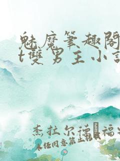 魅魔笔趣阁txt双男主小说