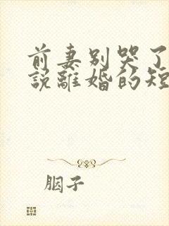 前妻别哭了是你说离婚的短剧观看全