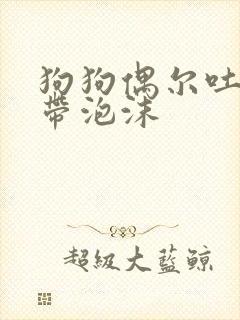 狗狗偶尔吐黄水带泡沫