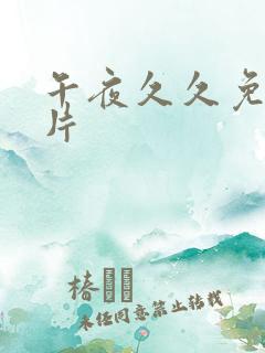 午夜久久免费大片