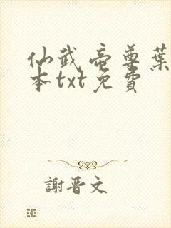 仙武帝尊叶辰全本txt免费