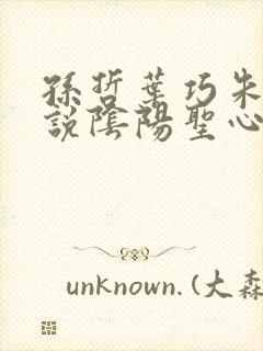 孙哲叶巧朱颜小说阴阳圣心诀