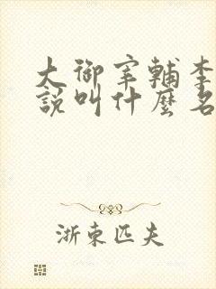 大御宰辅李臻小说叫什么名字