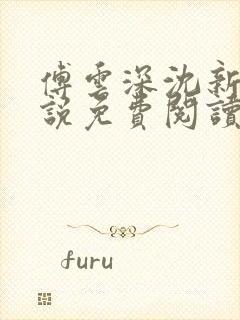 傅云深沈新桐小说免费阅读