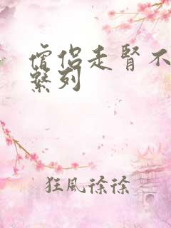 僧侣走肾不走心系列