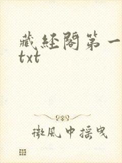 藏经阁第一版主txt