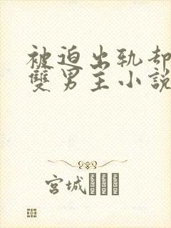 被迫出轨却上瘾双男主小说