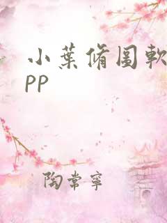 小叶修图软件app