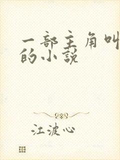 一部主角叫秦叶的小说